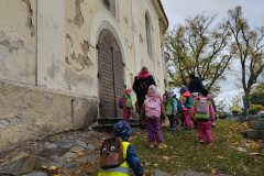 IMG_20231101_102247