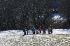 IMG_20230316_104513