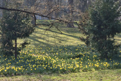 IMG-20260318-WA0002