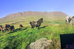 IMG-20260318-WA0024