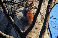 IMG-20260319-WA0006