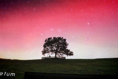IMG-20260320-WA0003