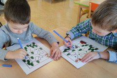 IMG_20250218_074219