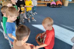 IMG_20250219_093910