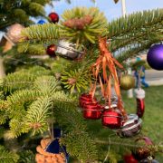 MŠ Pampeliška a Lesní MŠ - Zdobení vánočního stromečku