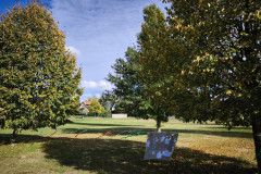 IMG_20261013_132925