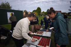 IMG_20261013_160250