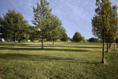 IMG_20261013_165318