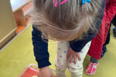 IMG-20260515-WA0016