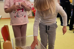 IMG-20260515-WA0039