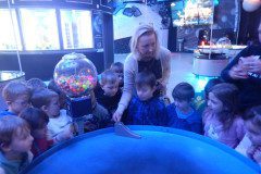 DSCN0445