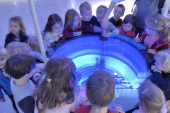 IMG_20230209_093516