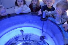 IMG_20230209_093530