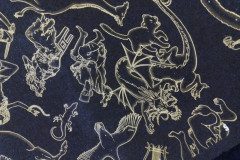 IMG_20230209_102643