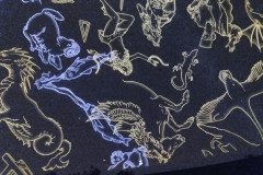IMG_20230209_102647