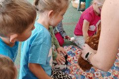IMG_20240927_101024