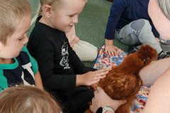 IMG_20240927_101041