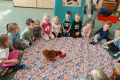 IMG_20240927_101117