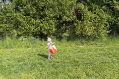 IMG-20260520-WA0093