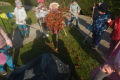 DSCN5033