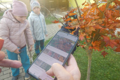 DSCN5042