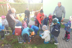 DSCN5049