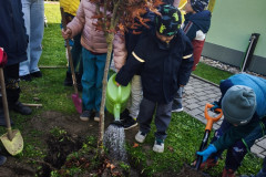 IMG_20261020_152206