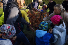 IMG_20261020_152512