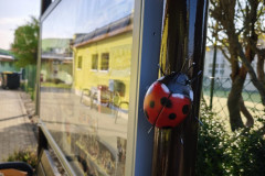 IMG_20261020_154315