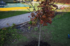 IMG_20261020_154409