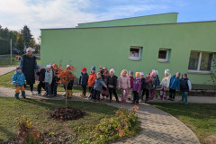 PXL_20261021_080830741