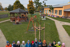 PXL_20261021_092820115