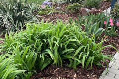 5ED23EE8-EE2E-4630-84C6-7DB5548043D8