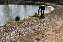 c0ddb7f4-135c-4d9a-9225-78419ccbd244