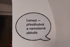 20230330_110346