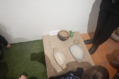 DSCN0764
