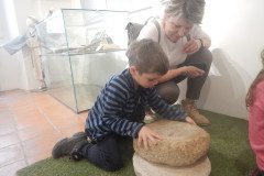DSCN0767