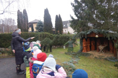 DSCN2630