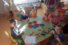 DSCN2664