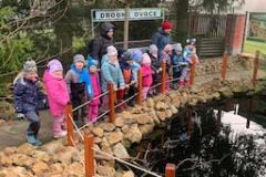 0057c9f2-b44c-4cc4-b51c-2428ecb2ef94