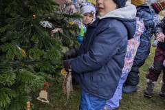 PXL_20251202_094649295