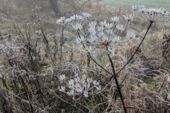 PXL_20251212_094502949