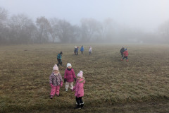 PXL_20251212_094506033