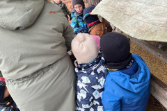 IMG-20251202-WA0011