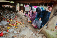 IMG_20251202_105710