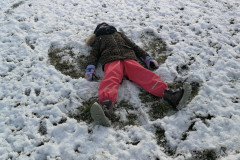 IMG_20211129_103910