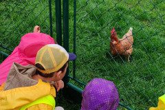 IMG_20220915_103318