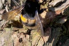 IMG-20260310-WA0022
