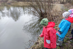 IMG_20260312_105209