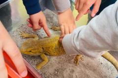 IMG-20260512-WA0008